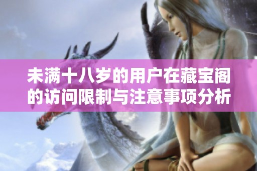 未满十八岁的用户在藏宝阁的访问限制与注意事项分析