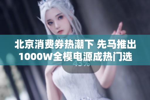 北京消费券热潮下 先马推出1000W全模电源成热门选择