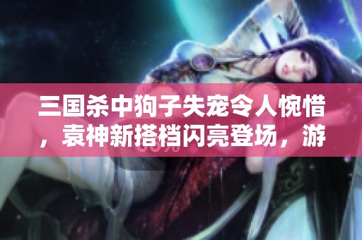 三国杀中狗子失宠令人惋惜，袁神新搭档闪亮登场，游重一回合翻盘