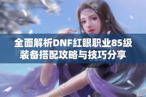 全面解析DNF红眼职业85级装备搭配攻略与技巧分享