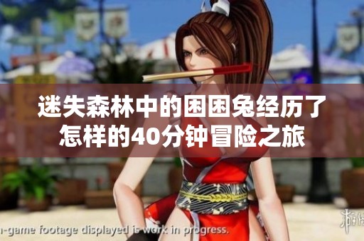 迷失森林中的困困兔经历了怎样的40分钟冒险之旅