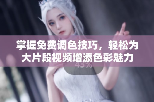 掌握免费调色技巧，轻松为大片段视频增添色彩魅力