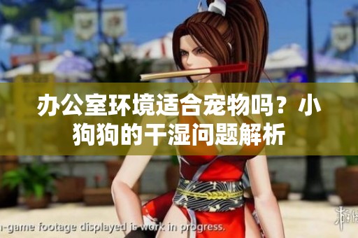 办公室环境适合宠物吗？小狗狗的干湿问题解析