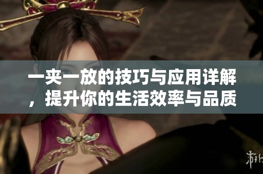 一夹一放的技巧与应用详解，提升你的生活效率与品质