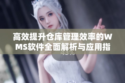 高效提升仓库管理效率的WMS软件全面解析与应用指南