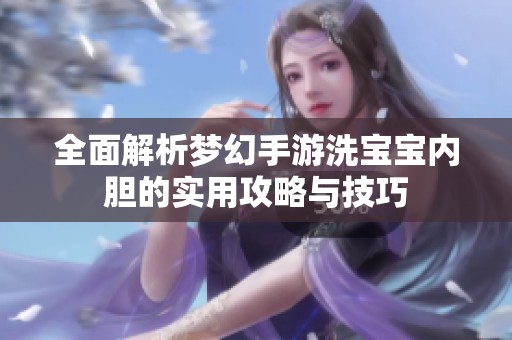 全面解析梦幻手游洗宝宝内胆的实用攻略与技巧