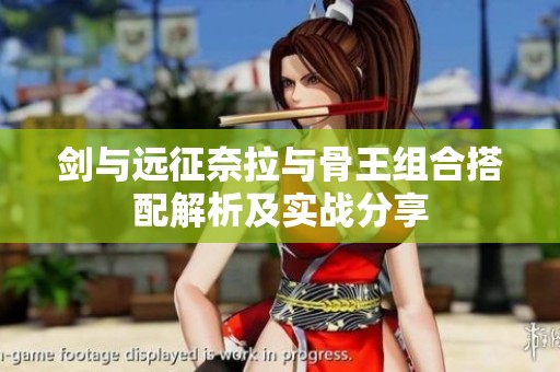 剑与远征奈拉与骨王组合搭配解析及实战分享