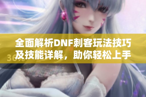 全面解析DNF刺客玩法技巧及技能详解，助你轻松上手！