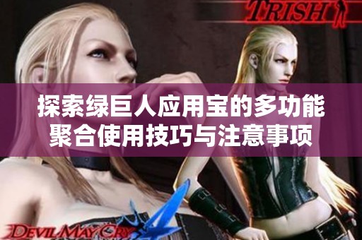 探索绿巨人应用宝的多功能聚合使用技巧与注意事项