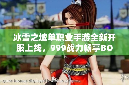 冰雪之城单职业手游全新开服上线，999战力畅享BOSS大战！