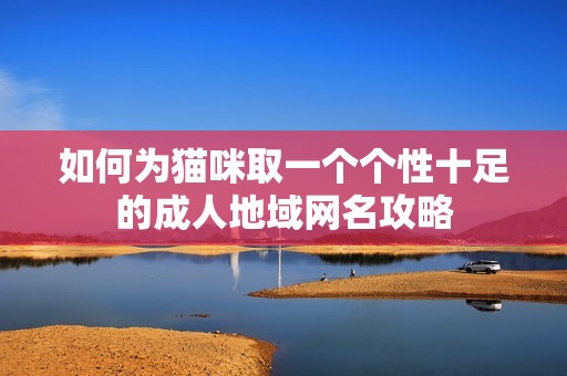 如何为猫咪取一个个性十足的成人地域网名攻略