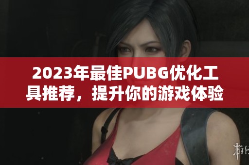 2023年最佳PUBG优化工具推荐，提升你的游戏体验