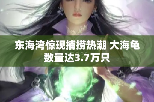东海湾惊现捕捞热潮 大海龟数量达3.7万只