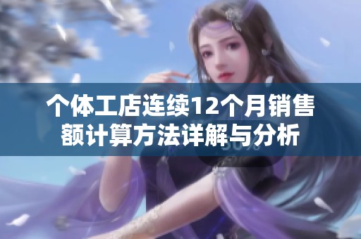个体工店连续12个月销售额计算方法详解与分析