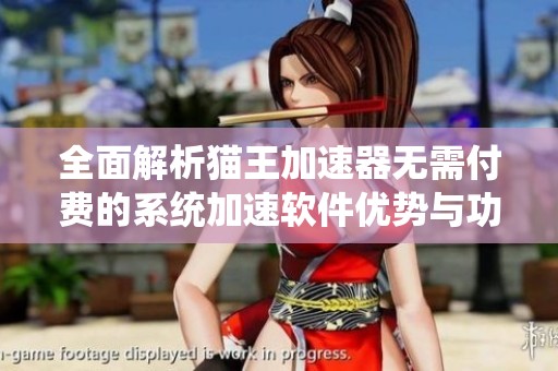 全面解析猫王加速器无需付费的系统加速软件优势与功能