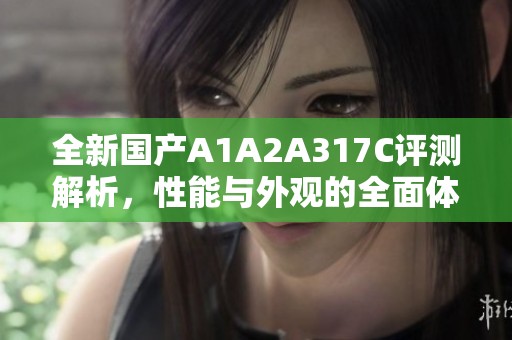 全新国产A1A2A317C评测解析，性能与外观的全面体验