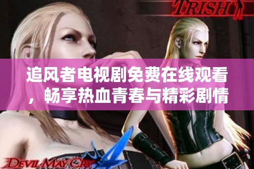 追风者电视剧免费在线观看，畅享热血青春与精彩剧情