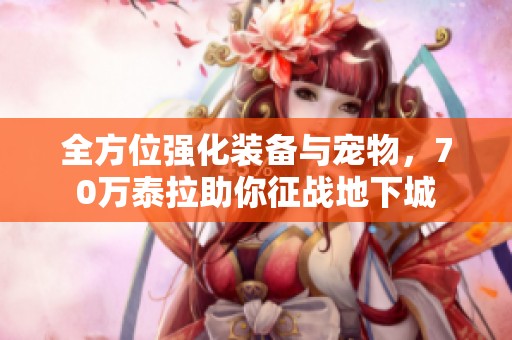 全方位强化装备与宠物，70万泰拉助你征战地下城