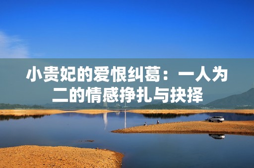 小贵妃的爱恨纠葛：一人为二的情感挣扎与抉择