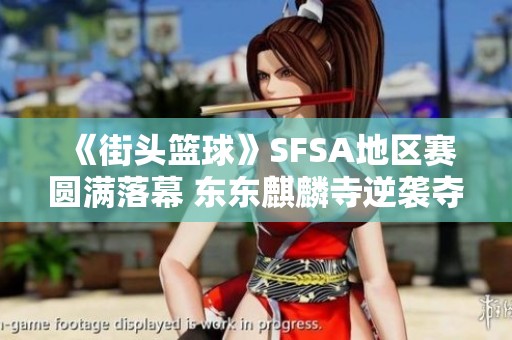 《街头篮球》SFSA地区赛圆满落幕 东东麒麟寺逆袭夺得冠军