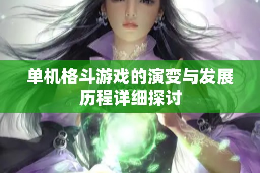 单机格斗游戏的演变与发展历程详细探讨