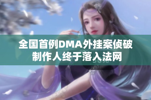 全国首例DMA外挂案侦破 制作人终于落入法网