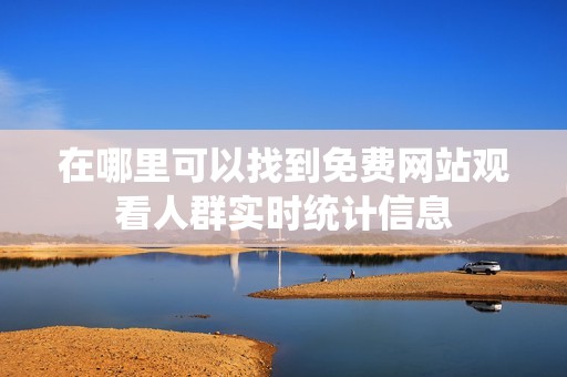 在哪里可以找到免费网站观看人群实时统计信息