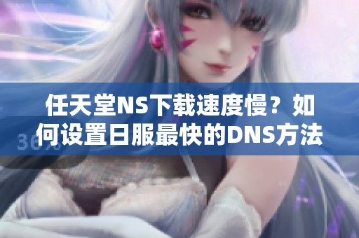 任天堂NS下载速度慢？如何设置日服最快的DNS方法指南