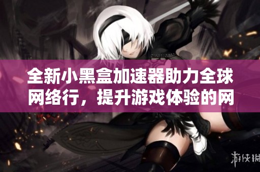 全新小黑盒加速器助力全球网络行，提升游戏体验的网络专家