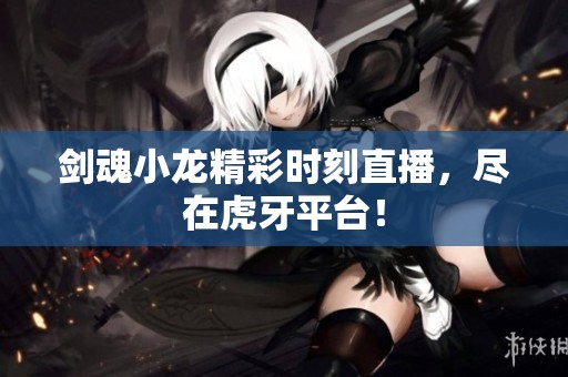剑魂小龙精彩时刻直播，尽在虎牙平台！