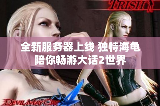 全新服务器上线 独特海龟陪你畅游大话2世界