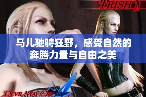 马儿驰骋狂野，感受自然的奔腾力量与自由之美