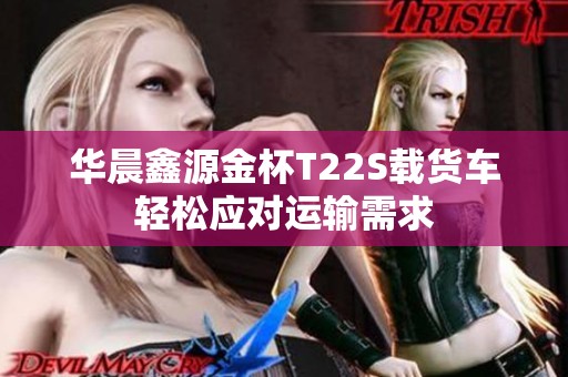 华晨鑫源金杯T22S载货车轻松应对运输需求