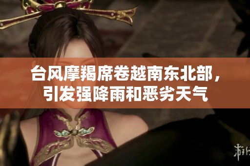 台风摩羯席卷越南东北部，引发强降雨和恶劣天气