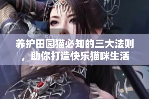 养护田园猫必知的三大法则，助你打造快乐猫咪生活