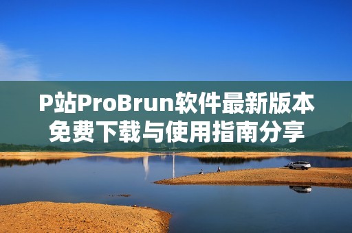 P站ProBrun软件最新版本免费下载与使用指南分享