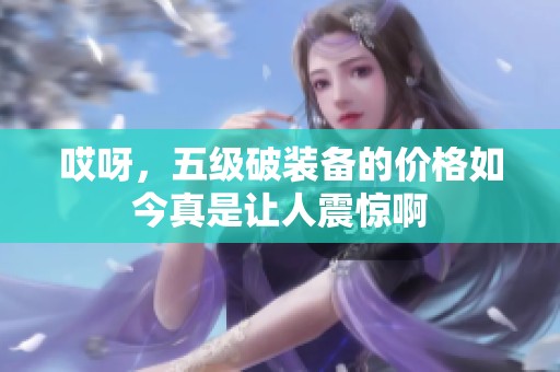哎呀，五级破装备的价格如今真是让人震惊啊