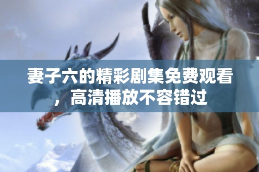 妻子六的精彩剧集免费观看，高清播放不容错过