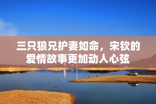 三只狼兄护妻如命，宋钦的爱情故事更加动人心弦