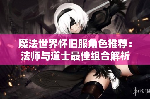 魔法世界怀旧服角色推荐：法师与道士最佳组合解析