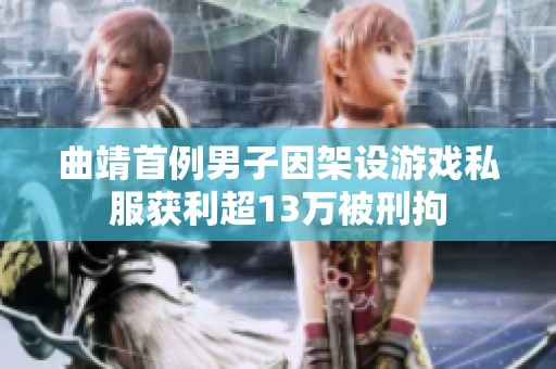 曲靖首例男子因架设游戏私服获利超13万被刑拘