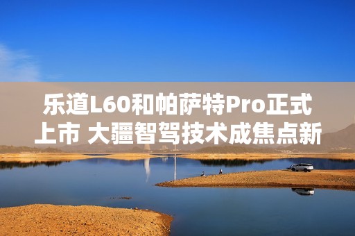 乐道L60和帕萨特Pro正式上市 大疆智驾技术成焦点新亮点