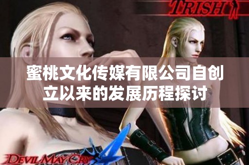 蜜桃文化传媒有限公司自创立以来的发展历程探讨