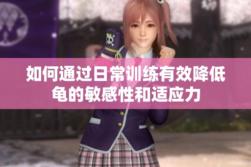 如何通过日常训练有效降低龟的敏感性和适应力