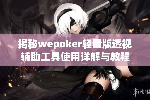 揭秘wepoker轻量版透视辅助工具使用详解与教程