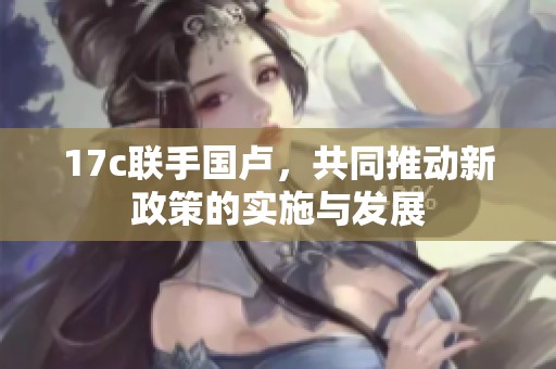 17c联手国卢，共同推动新政策的实施与发展