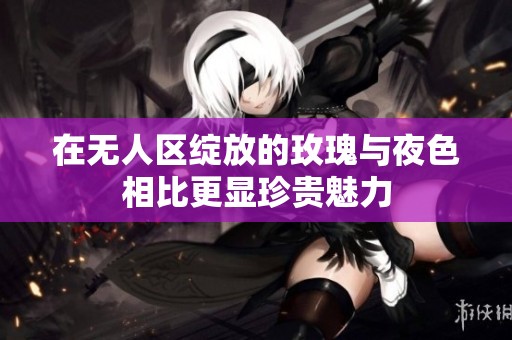 在无人区绽放的玫瑰与夜色相比更显珍贵魅力