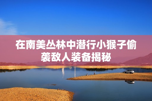 在南美丛林中潜行小猴子偷袭敌人装备揭秘