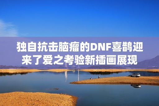 独自抗击脑瘤的DNF喜鹊迎来了爱之考验新插画展现