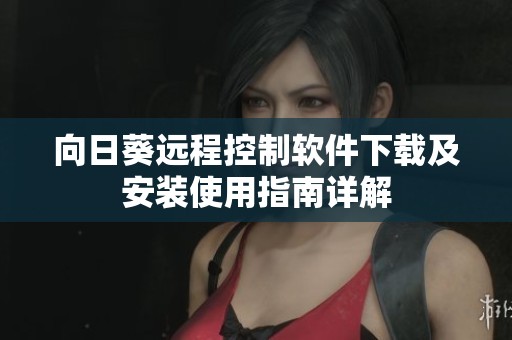 向日葵远程控制软件下载及安装使用指南详解